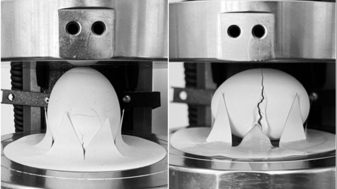 Ovo quebra com mais facilidade quando cai de lado ou de ponta? Pesquisa do MIT revela o 'mistério'