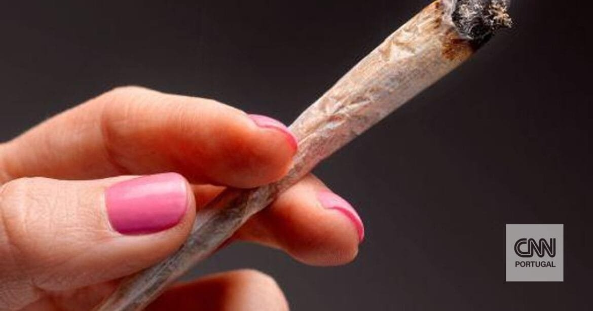 A marijuana é extremamente perigosa para o feto no útero