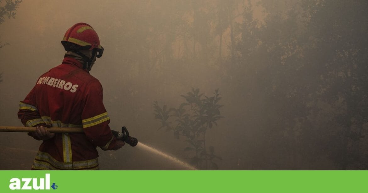 Incêndio em Castelo Branco mobiliza mais de 170 operacionais